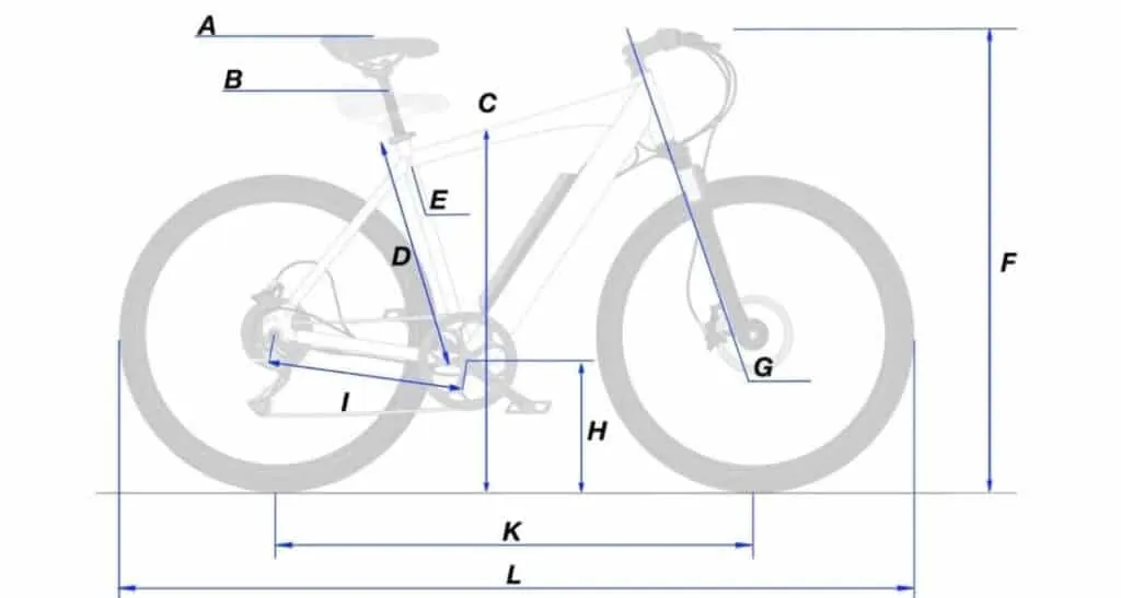 Bike Riding Lessons for Adults