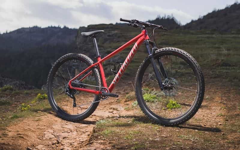 Entry Level bike
